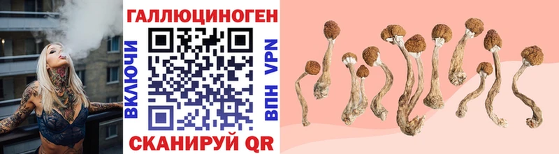 Галлюциногенные грибы прущие грибы  Новоржев 