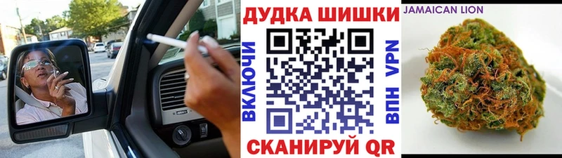 наркотики  Новоржев  Марихуана марихуана 